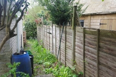Panel Fence (Before)